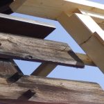 Contest: Contrasti (vecchio/nuovo)